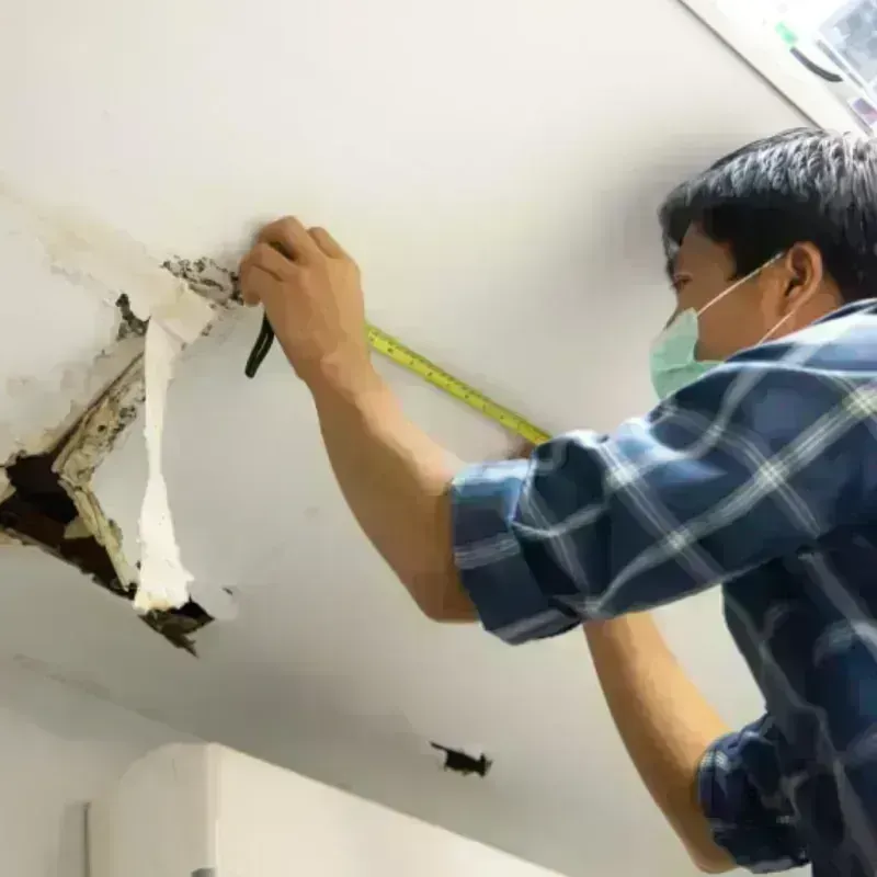 Ceiling And Wall Water Damage in Ripley County, IN